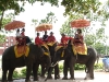 Elefanten in Ayutthaya