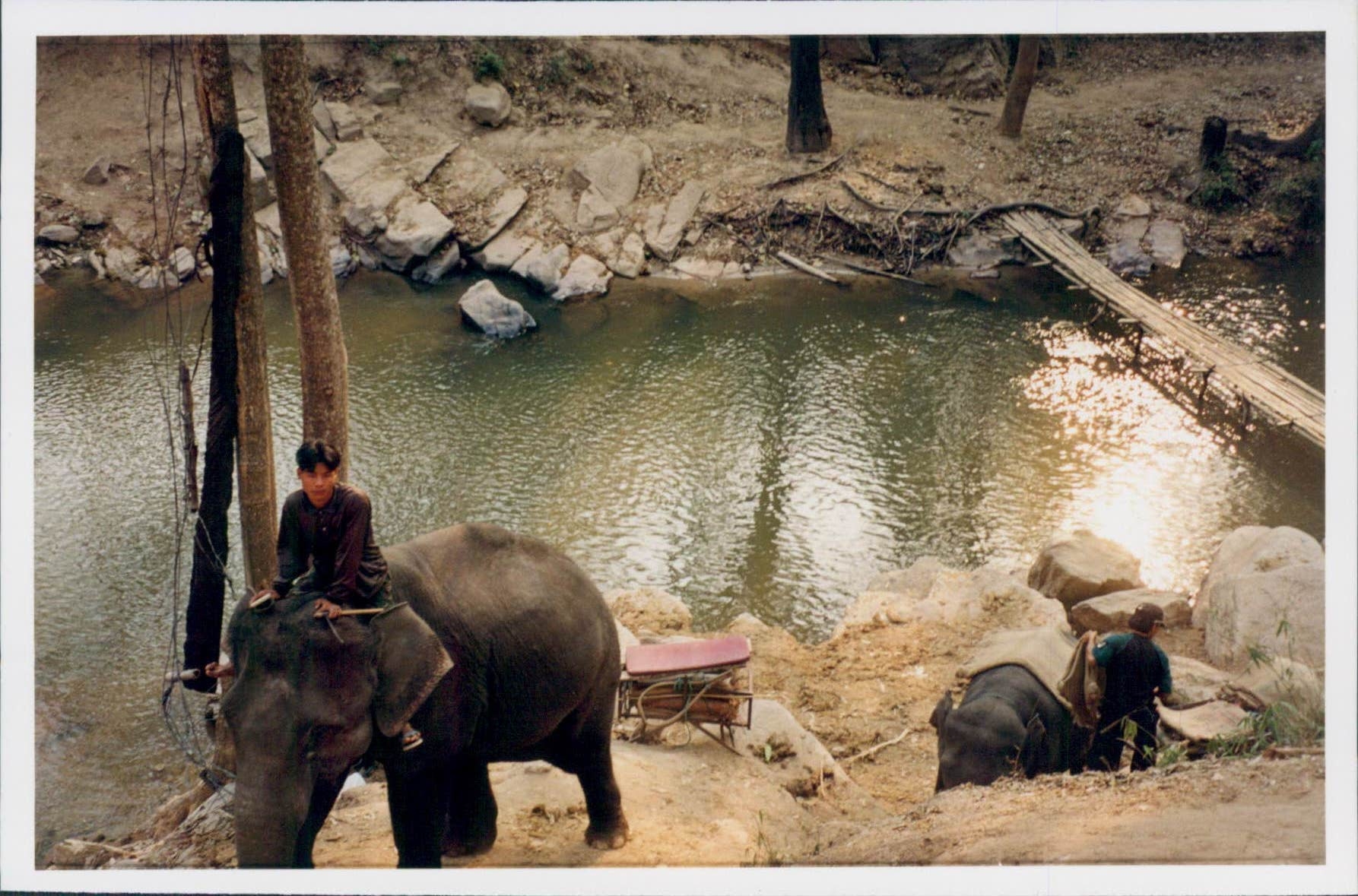 Elefant Camp