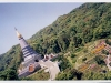 Tempel im Dschungel