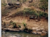 Elefant Camp